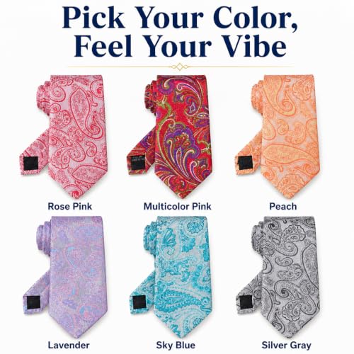 Image of WeiShang Neckties for Men, Classic Formal Tie