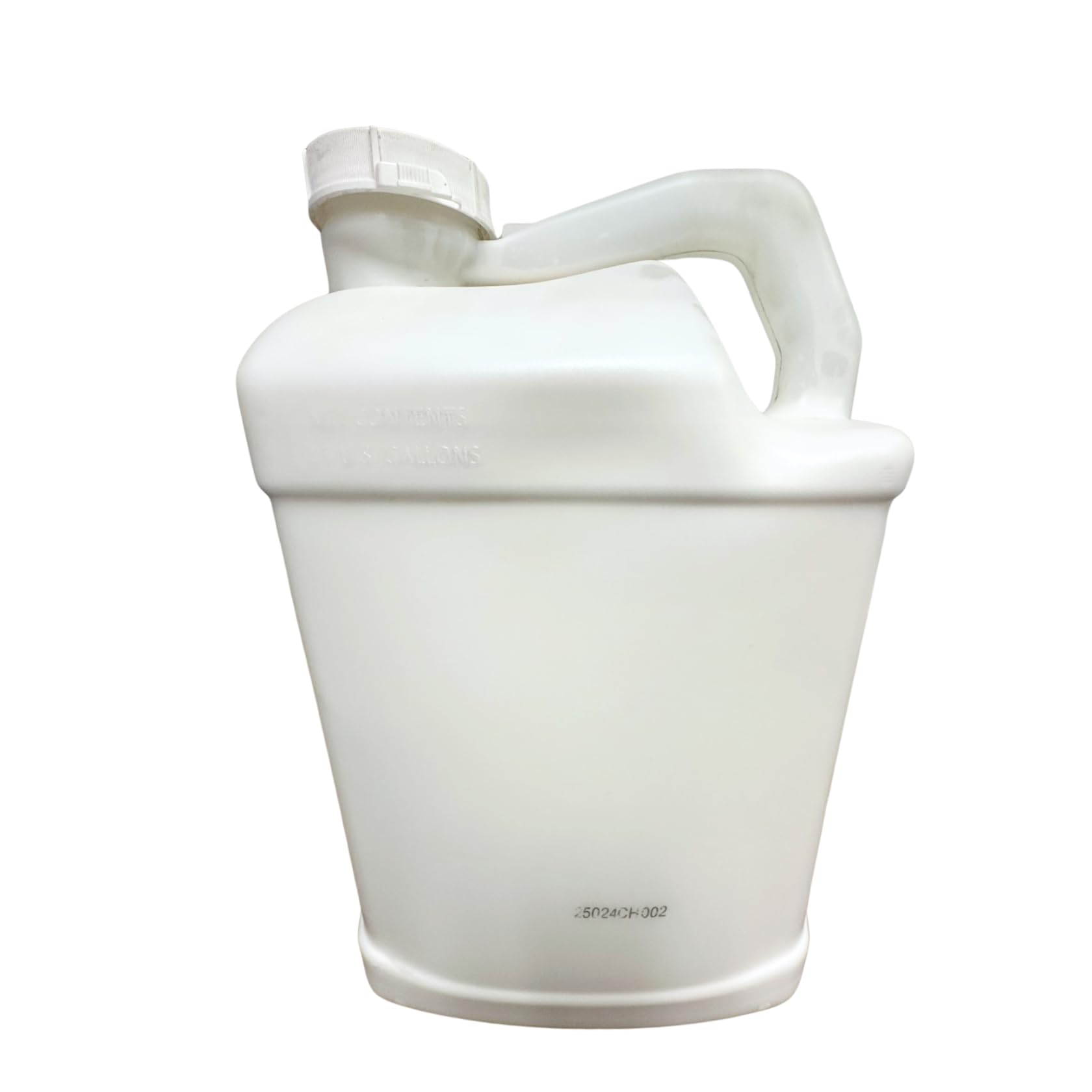 house plant guide The Essential Houseplant Guide — San José Made main image 0