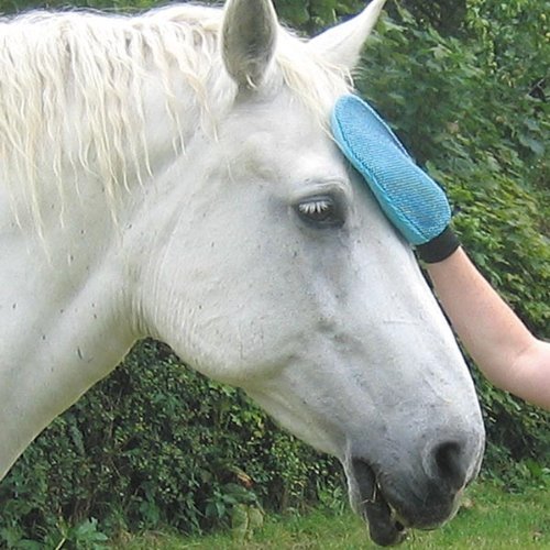 Moorland Rider Coat Shine Mitt