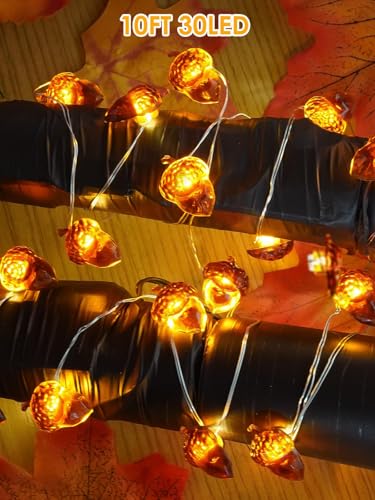 Image of EXF Fall Decor Acorn Fairy Lights Battery Operated with Remote 10FT 30 LED