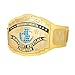 WWE Authentic Wear Yellow Intercontinental Championship Replica Title Belt