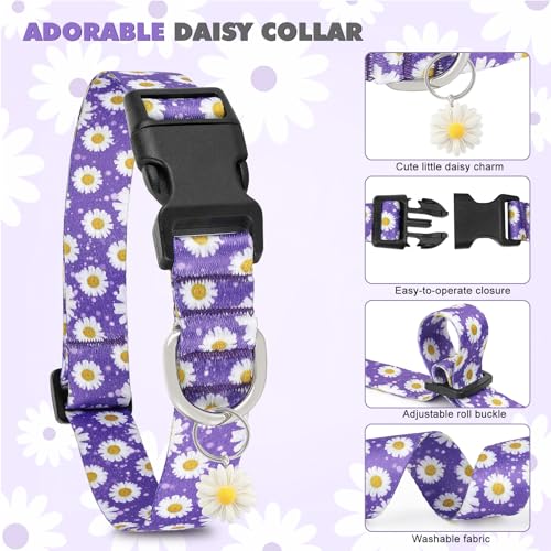 BiPawTi Süßes Hundehalsband Mittelgroße Hunde - Weiches, Verstellbares Halsband mit Margeritenanhänger & Hübsches Blumen Margeritenmuster - Lila Hundehalsband für Mittlere Hunde, M