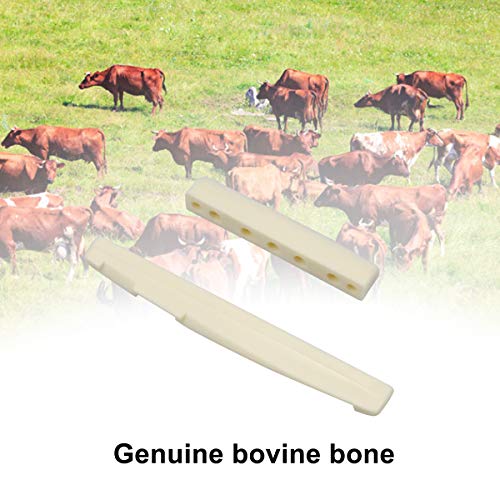 NATUCE Gitaar Brug Pins Pegs, Plastic Gitaar String Pins, Bone Akoestische Gitaar Zadel en Moer, Gitaar Accessoires voor… - Image 3