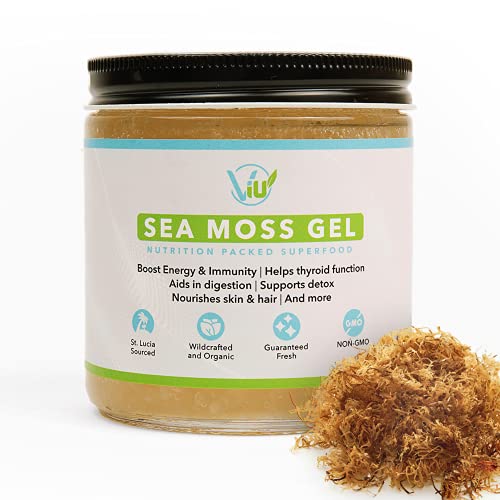Sea Moss Gel Organic - Irish Sea Moss Gel - Wild Craft Sea Moss from St. Lucia - Dr Sebi Sea Moss Gel Raw Organic sea Moss Gel, - 16 oz - Essential Minerals - Gold