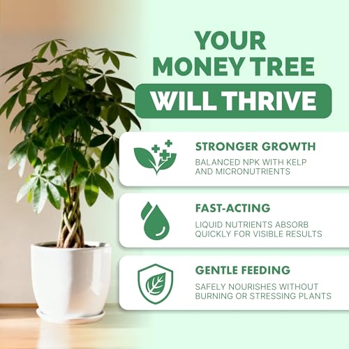 Money Tree Fertilizer fertilizante líquido 8 oz miniatura 2