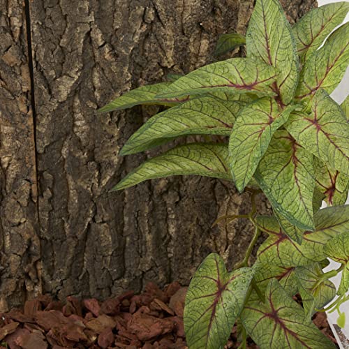 WOLEDOE Reptile Plants for Terrarium, Amphibian Habitat Decor Artificial Hanging Plants with Suction Cup - Fake Arrowhead Plants Green Syngonium Podophyllum - Thumbnail 4