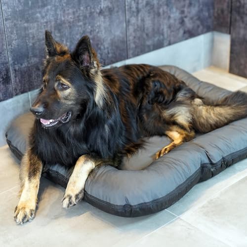 4L Textil KLEO Hundebett mittelgrosse Hunde waschbar Hundekissen mittelgrosse Hunde Hundematte Hundematratze Hundekissen XXL (M-90x70 cm, Graphit(Mit Reißverschluss))