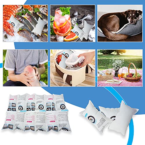 Image of Dry Ice Pack Sheet for Shipping Frozen Food, Reusable Freezer Gel Packs for Coolers, Lunch Box Bag Cold Long Lasting, Cold Shipping Packaging for Mailing perishables 13.3 inchx 6.5 inch 2x6 Cells 100 Sheets