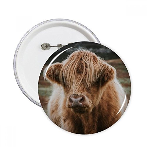 Cadeau organisme terrestre Buffalo pins décoratif