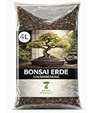 Bonsai Erde von Genki-Bonsai für Zuhause