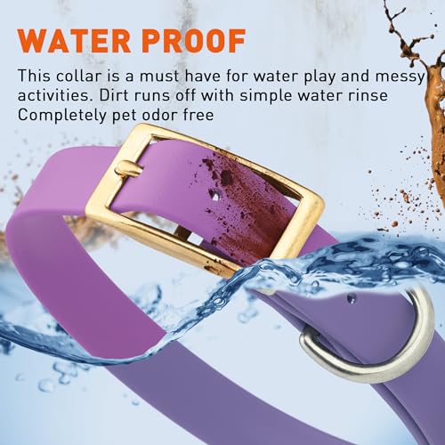 Image of Viper Biothane Heavy Duty Waterproof Dog Collar Strong Coated Nylon Webbing w /Solid Brass Hardware Odor-Proof for Easy Care to Clean High Performance Fits Small Medium or Large Dogs, Amethyst Purple