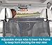 High Road Back Seat Barrier for Dogs - Car Divider for Dogs for Behind Front Seat - Padded Steel Frame with Heavy Duty Coated Dog Net Barrier for Car, Truck or SUV