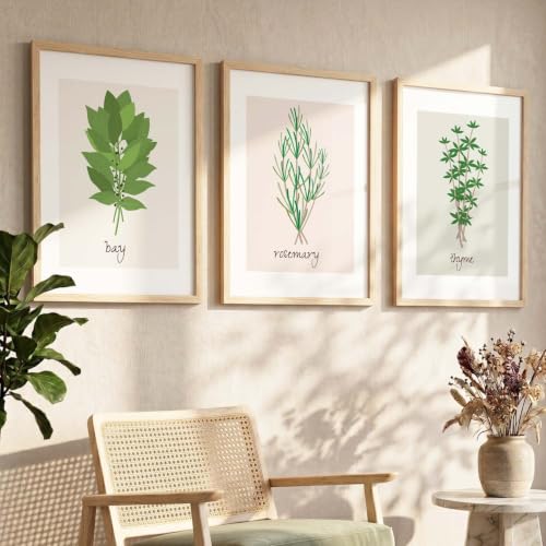Image of HOTHOUSE Botanical Wall Art Painting | Premium Art Framed Wall Paintings For Home Decor | Poster With Frame Wall Decoration Painting Frames For Home Office Living Room | Set of 3 (10X13 inch)