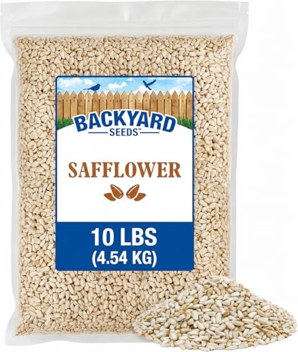 CountryMax 10LB Safflower Bird Seeds for Outside Feeders