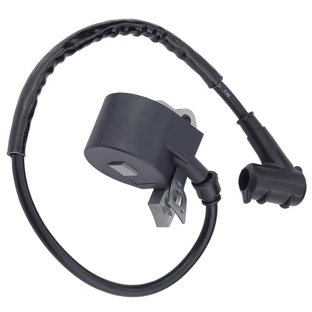 Kit De Bobine D'Allumage Pour Souffleur À Feuilles E*C H-O Pb-2520