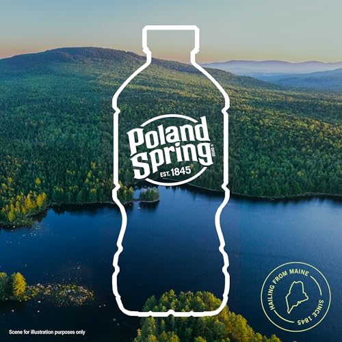 Image of Poland Spring Maine Spring Water Bottles, 12-Pack - Still Bottled Water with Naturally Occurring Minerals for Taste - 12 Fl Oz Bottles