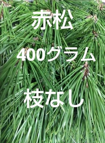 ㎿V 400t ԏ ̗t tW[Xt