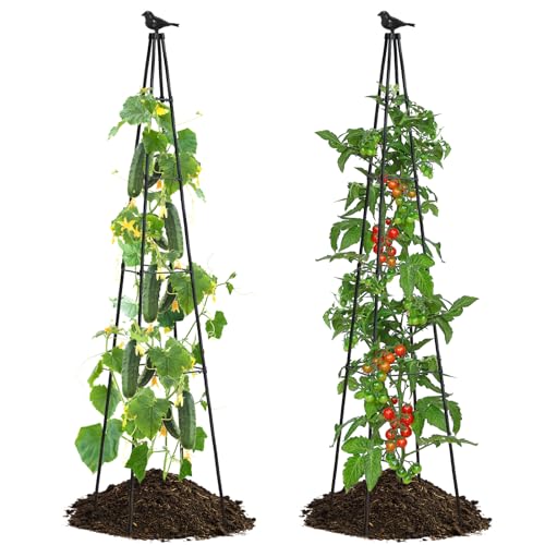 OTOSUNNY Garden Trellis for Climbing Plants Outdoor, 67
