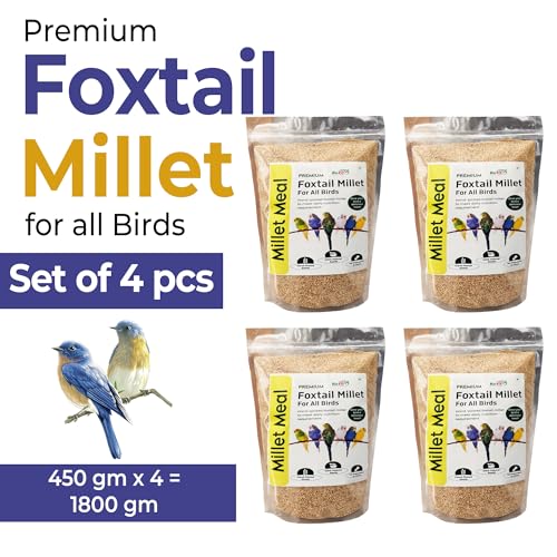 Image of REFIT ANIMAL CARE Foxtail Millet for Birds | Kangni Seeds | Bird Food | 450 gm X 4 | Pack of 4