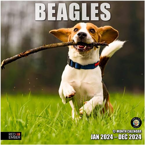 RED EMBER Beagles 2024 Hangable Monthly Wall Calendar | 12″ x 24″ Open | Thick & Sturdy Paper | Giftable | Hunting Dog | It’s a Beagle Jubilee