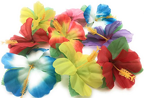 Oojami Hibiscus Flowers for Tabletop Decoration (Pack of 72)