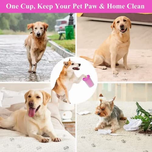 Generico Tazza Lava Zampe Grande 15cm Cani Gatti