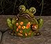 Dawhud Direct Frog Solar Powered LED Garden Light