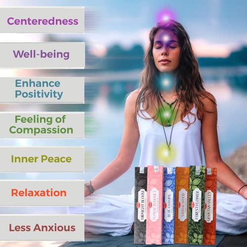 Bluspirits Hem Assorted Incense Sticks Variety 6 Packs X 15 Gms-Aromatherapy Insence For Air Purifier,Insents Stick Gift Set,Perfect For Meditation And Relaxation  thumb #5