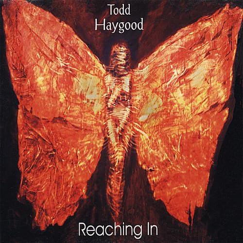 Reaching in [Audio CD] Todd Haygood