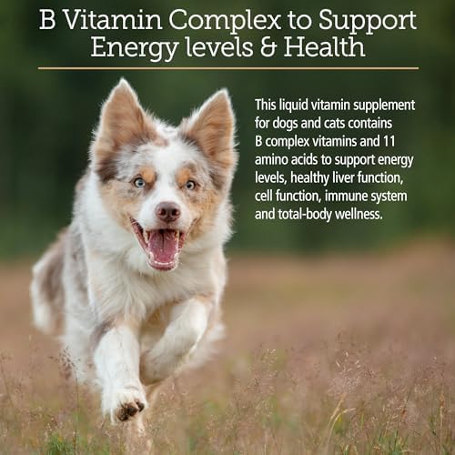 Rx Vitamins Amino B Plex Cat & Dog Supplement — bottom and base construction detail