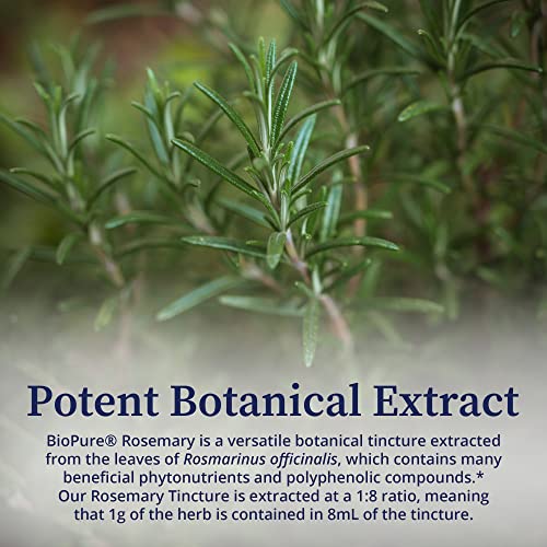 Biopure Rosemary Herbal Tincture – Potent Botanical Extract Rich In Phytonutrients And Polyphenolic Compounds That Supports Neurological Function, Detox, Cleanse, & Overall Wellness – 2 Fl Oz #TOP4