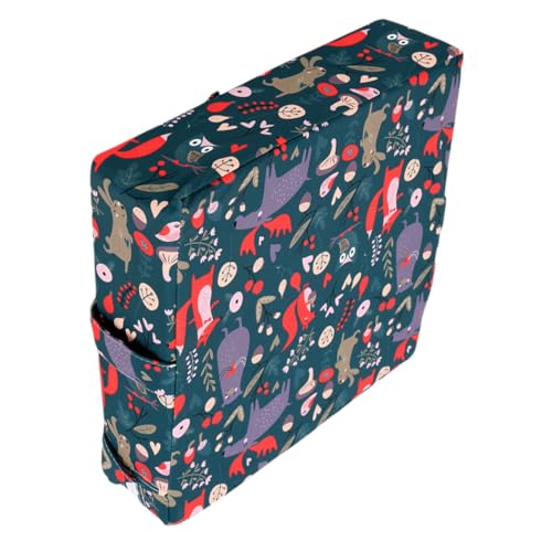 STOBAZA qph`FANbV ߉\ȍpbh X|Wf yʂň Hp wZ O[