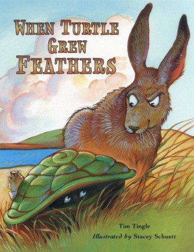 When Turtle Grew Feathers: A Folktale from the Choctaw Nation