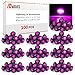 MADCATZ 100 Pcs 3/4 Inch Round Purple Light 3 LED 2835 Mini Clearance Side Marker Lights Shape Turn Lamps for Boat Trailer Truck Pickup Caravan RV Waterproof 12V DC