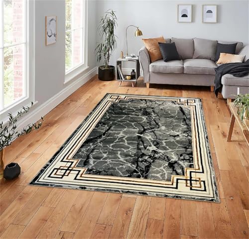 SUNYRDSM Jarapas para Sofas Alfombra Lavable Lavadora Diseño Abstracto Gris para decoración Interior y Exterior, cómodo y Resistente a la decoloración. 170X240CM