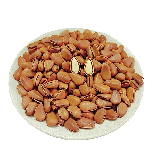 OUYANGHENGZHI Original Taste Nuts Red Pine Nut in Shell Song Zi 松子 250g/8.8oz