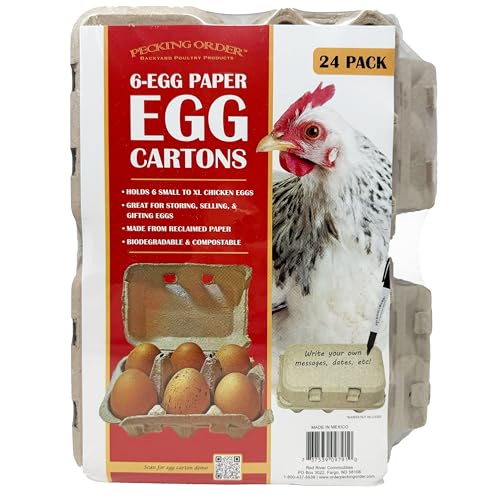 Image of 6-Egg Paper Egg Cartons - 24 Pack