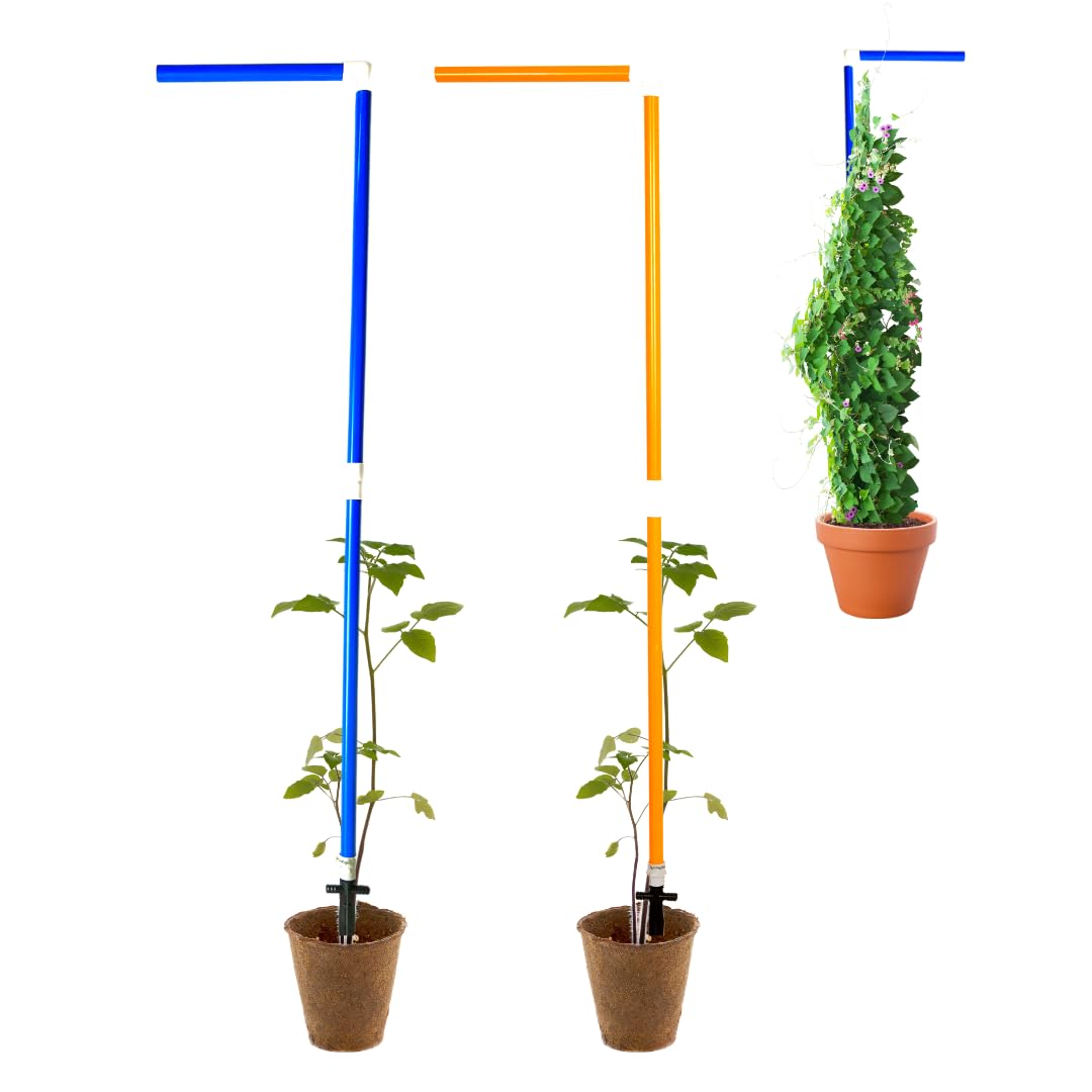 Plant Support Pole for Creepers & Long Plant Support Sticks 5 Feet (Pack of 2) Blue & Orange Garden Tool by Invelligen (B0BWW9HR59) Amazon Price History, Amazon Price Tracker