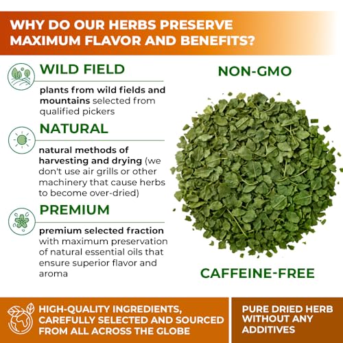 Image of 2 oz. Hazel Leaf Herbal Tea (Folium Coryli avellanae) - 56g Dried Hazel Leaf Tea Hojas de Avellano