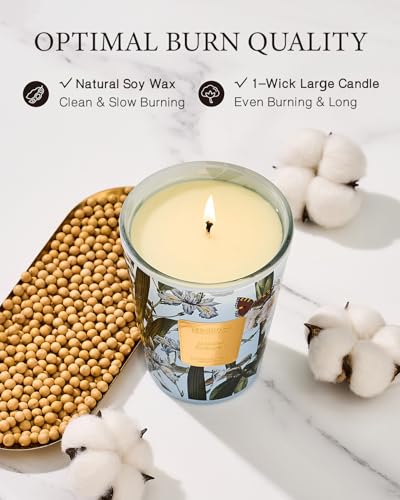 Msensejasminegarlandscentednaturalsoywaxcandle141oz60hourslonglastingslowburningcandlesforhomedecoraromatherapycandleforstressrelief  Urban Country Home Decor Msense jasmine garland scented natural soy wax candle 141oz 60 hours long lasting slow burning candles for home decor aromatherapy candle for stress relief  urban country home decor
