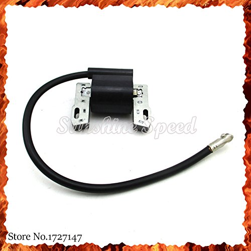 Zündspule für Briggs & Stratton 286702 286707 10HP 12HP 13HP 492341 495859