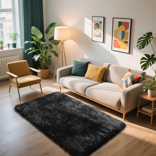 Shag Area Rug for Bedroom 3x5,Black Fluffy Area Rugs for Living Room,Soft Fuzzy Rug Non-Shedding Indoor Plush Carpet for Kids Bedroom Nursery Dorm Home Decor