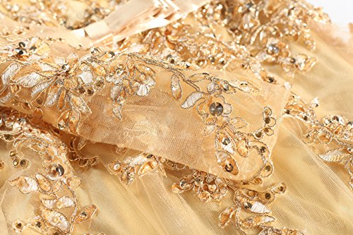 Meier Women's Illusion Long Sleeve Embroidery Prom Formal Dress Gold Size 10