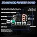ZK-1002 Bluetooth 5.0 Audio Amplifier Board, 100W x 2 2.0 Channel Mini HiFi Power Amplifier Receiver with Volume Control, BT and AUX Inputs, DC 5-27V Stereo AMP Module for Home DIY Speakers