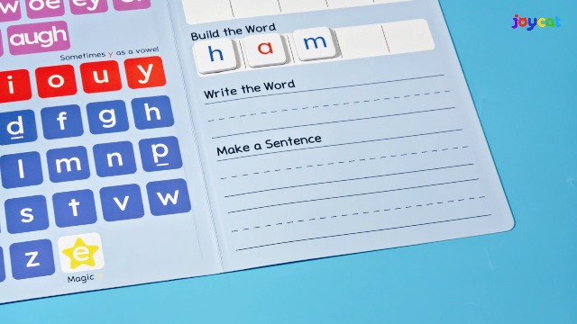 Amazon.com: JoyCat 265 Phonics Magnetic Letter Tiles with 3 Word