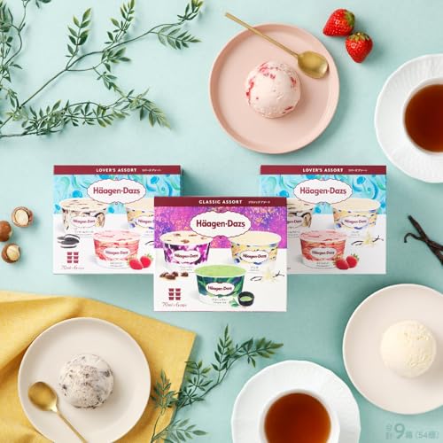[定期便](全3回・隔月)ハーゲンダッツ アソートボックス3箱