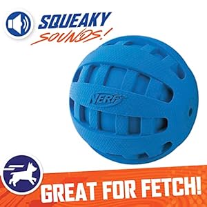 Nerf dog rubber ball dog toy with checkered squeaker lightweight durable and water resistant 4 inch diameter for mediumlarge breeds single unit blue   cucciolini doodles