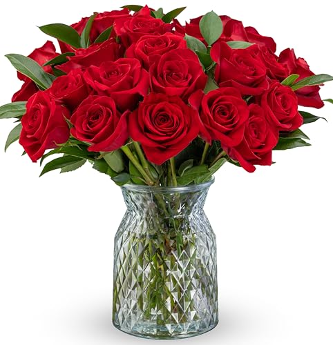 Benchmark Bouquets - Red Roses Bouquet - Fresh Flowers for Delivery - Real Roses - Two Dozen Long Stem Roses for Anniversary - Romantic Gift Set - Gifts for Women (Glass Vase Included)