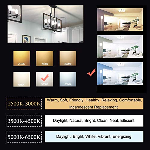 OMAYKEY 10W 5000K LED Edison Bulb (100W Equivalent) Daylight White Glow 1000 Lumens, E26 Base Vintage Edison ST64 Clear Glass LED Filament Light Bulbs, Non-dimmable, Pack of 3 - Thumbnail 4