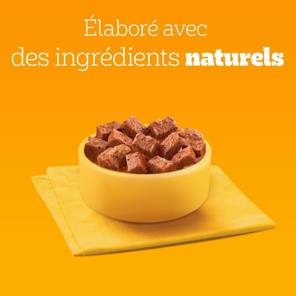 Pedigree Repas pour Chien - Boîtes en terrine pour chien adulte - 3 variétés - 4X(6x400g)